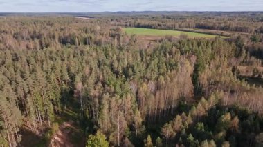 Hava aracı ileriye doğru süzülüyor ve çam ve huş ağaçları boyunca tepsiler, bir zümrüt tarlası, alçak tepeler ve Kuzey Avrupa 'da küçük bir kulübe çatısı