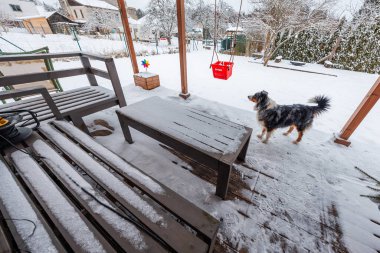 Kar tozu ahşap bir verandayı masa ve bank ile kaplıyor. Tıpkı bir Avustralya çobanı pergola üzerinde sallanan kırmızı bir kovanın yanında dururken. Pençe ve bot izleri ve bir fırıldak..