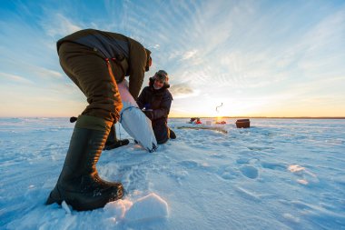 İki bohçalı balıkçı gün doğumunda buzda diz çöker, biri beyaz bir torba içinde bir balık tutar, diğeri gülümser. Çırpı, kızak ve kovalar delinmiş bir deliğin yanında oturur, soğuk havada buhar soluyarak..