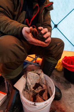 Yakın görüntü, turuncu ve mavi bir çadırın içinde, gün ışığında lastik çizmeler ve tabureyle birlikte beyaz bir kovanın üzerinde yem topunu şekillendiren cesur elleri gösteriyor..