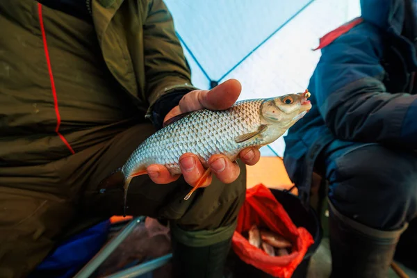 İki kış balıkçısı kış ortasında bir buz çadırında oturur. Bir tanesinde turuncu yüzgeçli gümüş bir balık, ağzında kanca, yanında kırmızı çanta, görünürde eldivenli eller var..
