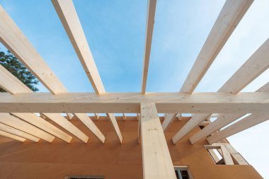 Freshly milled wooden rafters and joists form an unfinished roof over plywood. Daylight shows clean grain and precise joinery as lines converge, carpenters assemble.