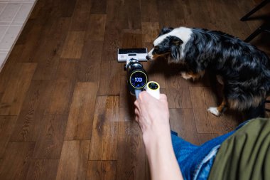 Üç renkli bir köpek, kablosuz bir yer temizleyicisini kontrol eder. Kapalı alanda koyu ahşap üzerinde 100 'de çalışır. Akşam ışığı, ev mutfağında ya da yaşam alanında yumuşak gölgeler bırakır..