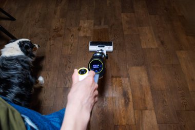 Yukarıdan bakıldığında, kablosuz ıslak kuru bir vakum,% 100 ahşap zemindeki küçük su birikintilerini temizlerken, parlak bir evin içinde siyah, beyaz ve kahverengi bir köpeğin izlediğini gösteriyor..