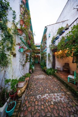 İspanya 'nın Cordoba kentindeki dar geçitte nane, terra cotta ve turkuaz tencere, beyazlatılmış duvarlar, lamba ışığı ve işlenmiş demir balkon bulunan bir deniz mavisi kapısı bulunuyor..