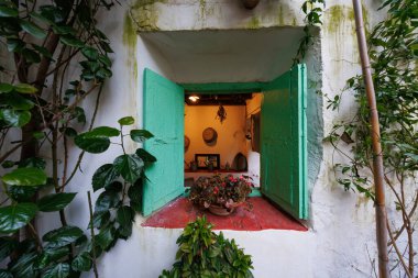 Cordoba, İspanya 'da kırsal bir duvar nane yeşili kepenkler, hasır şapkalar, kurutulmuş otlar ve sulama tenekeleri çerçeveler. Kırmızı bir eşik yumuşak akşam ışığında begonyaları tutar..