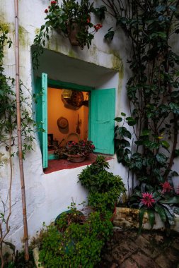 Cordoba 'daki kırsal bir teras penceresinde yarı açık turkuaz panjurlar, saksı sardunyaları ve beyaz bir duvarda sarmaşıklar, içinde sıcak lamba ışığı ve yaşlanmış taş zemin var..