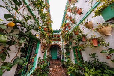 İspanya 'nın Cordoba kentindeki dar Endülüs avlusunda beyaz duvarlar, yeşil süslemeler, terakotta kapları, asmalar, narenciye dalları, kaldırımlı zemin, balkon ve gün ışığı..