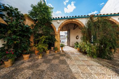 Cordoba, İspanya avlusunda tuğla at nalı kemerleri, beyaz boyalı duvarlar, çakıl taşı mozaiği, ve incir ağacından yapılmış terasotta kapları, eğrelti otları ve gün ortası aydınlığında çiçekler var..