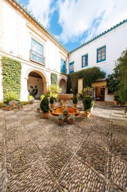 Cordoba 'da geleneksel avlusu taş çeşme, çakıl taşı mozaik kaldırım, terasotta kapları, beyazlatılmış duvarlar, mavi budanmış pencereler ve gün ortasında sarmaşıklar..
