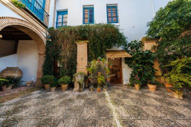 İspanya 'nın Cordoba kentindeki Endülüs avlusunda beyazlatılmış duvarlar, mavi süsler, Fas tuğla kemerleri, çakıl taşı mozaikleri, teras kapları, işlenmiş demir tezgahlar, sarmaşık, amforo, öğleden sonra ışığı görülüyor..