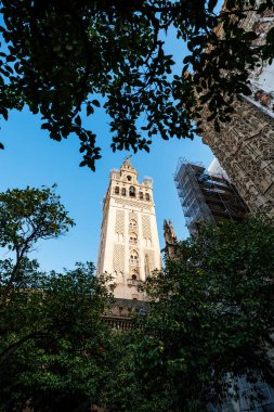 Sevilla, İspanya, Giralda çan kulesi portakal ağaçları tarafından çerçevelenmiş, sıcak ışıkta yükselir, Mudejar detayları görünür ve avludan bir rüzgar gülü heykeli görünür..