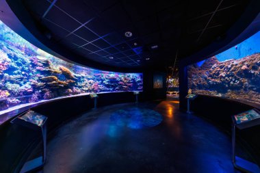 Kavisli akvaryumları, mercan resifleri, tropikal balıklar ve serin mavi ışıklandırma altındaki şakayıklar ile çevrili Seville dairesel galerisi, korkuluklar boyunca etkileşimli kiosklar.