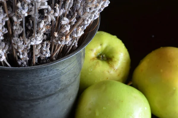 Snítky levandule a zeleného jablka — Stock fotografie