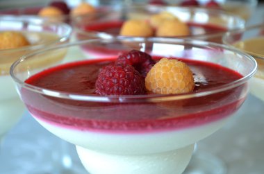 İştah açıcı ve renkli panna cotta gözlük