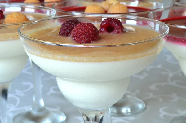 Appetitlich bunte Panna Cotta in Gläsern — Stockfoto