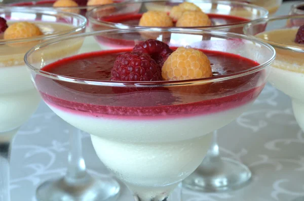 Appetitlich bunte Panna Cotta in Gläsern — Stockfoto