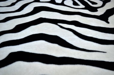 arka plan tarzında bir zebra