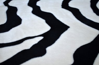 arka plan tarzında bir zebra