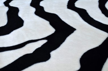 arka plan tarzında bir zebra