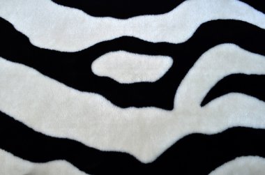 arka plan tarzında bir zebra