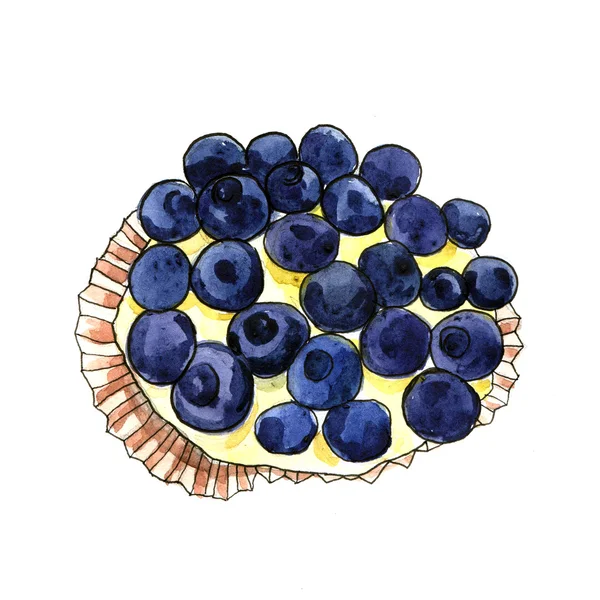 Blueberry Tart — Stockfoto