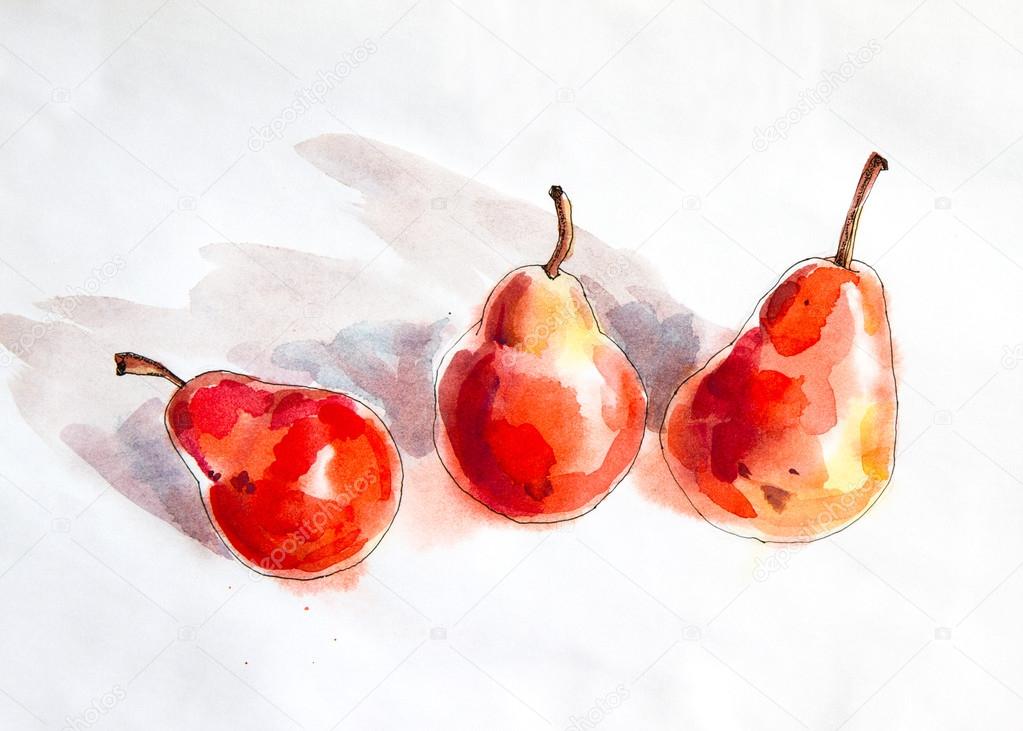 Red Pears - Watercolour painting