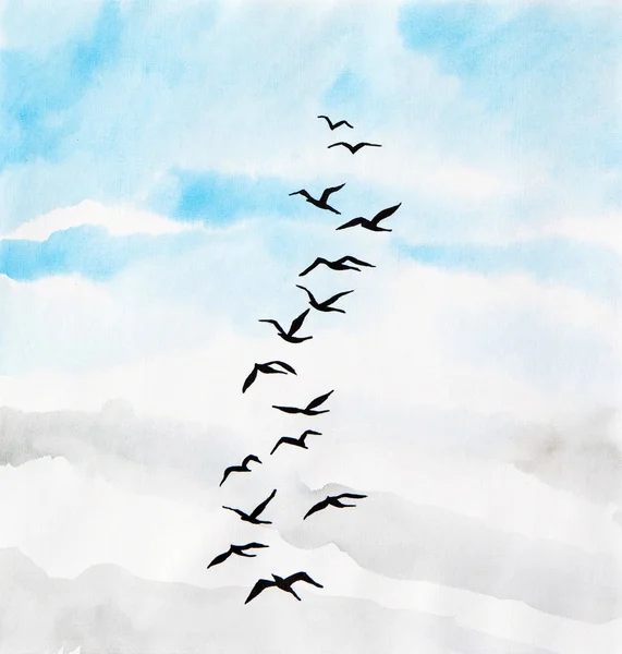Vogels in de lucht Rechtenvrije Stockfoto's