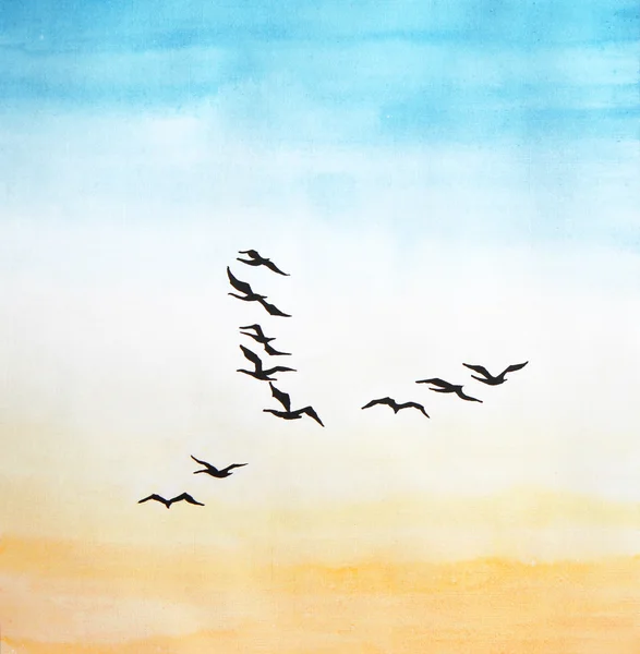 Birds in the sky — Stock Photo, Image