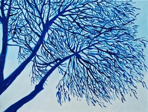 Modrý strom Stock Fotografie