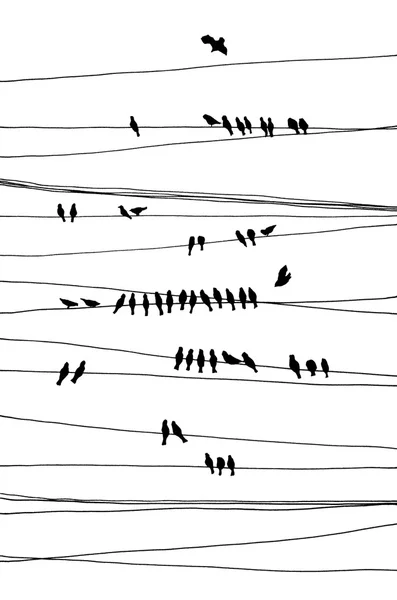 Vogels op draden Stockfoto