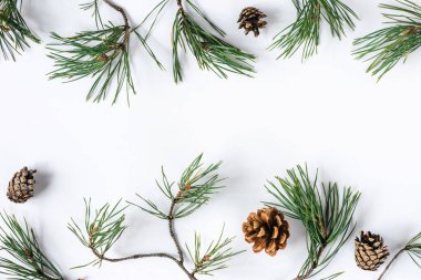 Noel ya da yeni yıl için beyaz bir zemin üzerinde doğal çam dalları ve kozalaklarla çevrili kış şenlikli arka plan modeli. Üst görünüm, alanı kopyala.