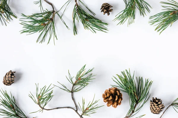 Noel ya da yeni yıl için beyaz bir zemin üzerinde doğal çam dalları ve kozalaklarla çevrili kış şenlikli arka plan modeli. Üst görünüm, alanı kopyala.