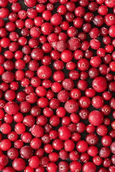 Berries Frosty Cranberry Close Textured Vertical Background — Stock Photo, Image