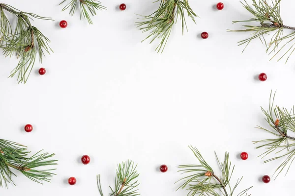 Karácsonyi Háttér Áfonyával Fenyőágakkal Fehér Háttérrel Felülnézet Lapos Fekvés Másolás — Stock Fotó