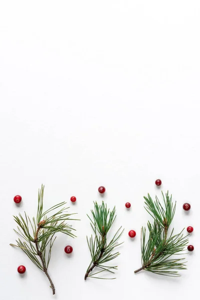 Weihnachten Hintergrund Mit Preiselbeeren Und Tannenzweigen Auf Weißem Hintergrund Draufsicht — Stockfoto