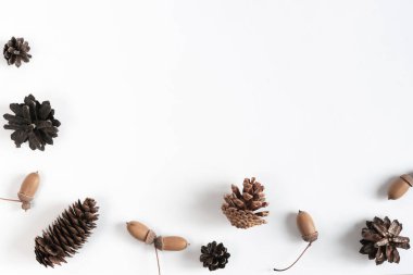 Beyaz arka planda çeşitli konilerin toplanması. Kış tatilleri için minimalist doğal arka plan: Noel ya da Yeni Yıl. Üst görünüm, alanı kopyala.