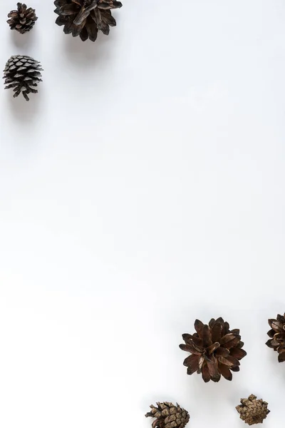 Colección Varios Conos Sobre Fondo Blanco Fondo Natural Minimalista Para — Foto de Stock