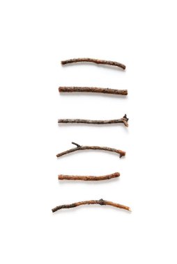 Beyaz arka planda çeşitli kuru çam dallarının dikey bileşimi. Üst görünüm, düz görünüm, kopyalama alanı.