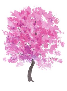 Çiçek açması Pembe ağaç. Suluboya resim.