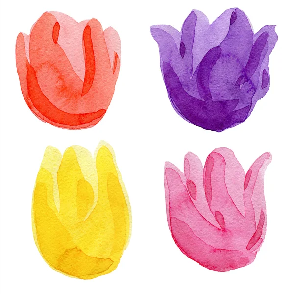 Kolorowe tulipany. Akwarela ilustracja. — Zdjęcie stockowe