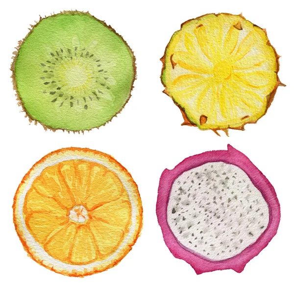 Tropické nakrájené ovoce. Akvarel ilustrace. — Stock fotografie