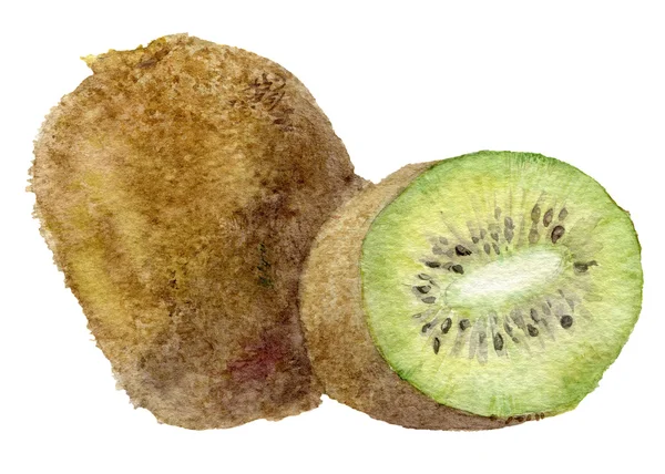 Fruto Kiwi. Ilustración en acuarela . — Foto de Stock