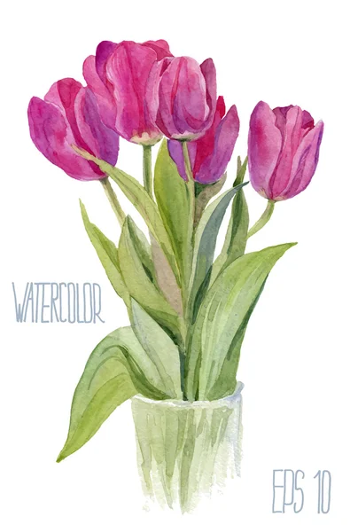 Tulpenstrauß. Vektor Aquarell Illustration. — Stockvektor