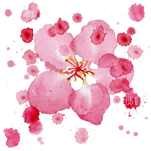 Apple Blossom. Aquarel vectorillustratie. — Stockvector