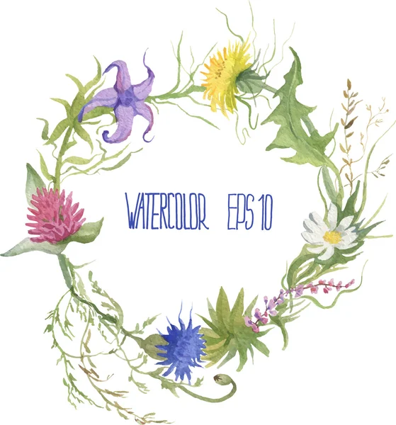 Yabani çiçek çelenk. Vektör suluboya resim
