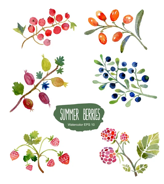 Yaz meyveleri. Vektör suluboya resim.