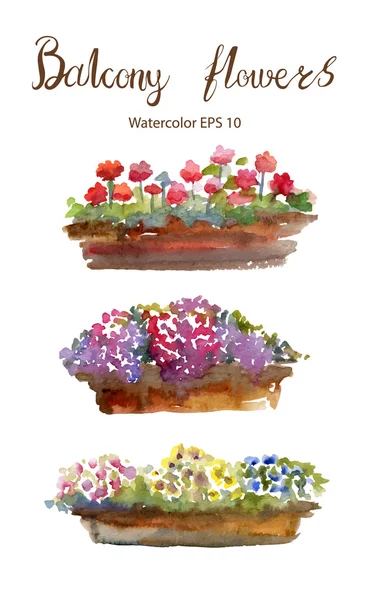 Balkonblumen. Vektor Aquarell Illustration. — Stockvektor