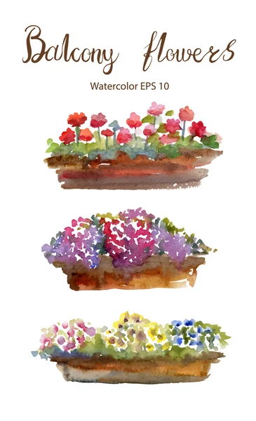 Flores da varanda. Ilustração em aquarela vetorial . — Vetor de Stock