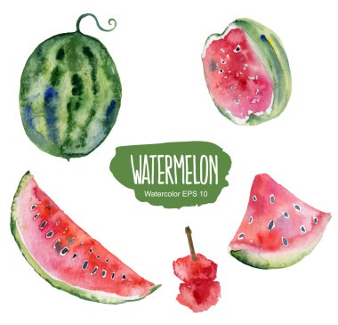 Karpuz ayarlayın. Vektör suluboya resim.